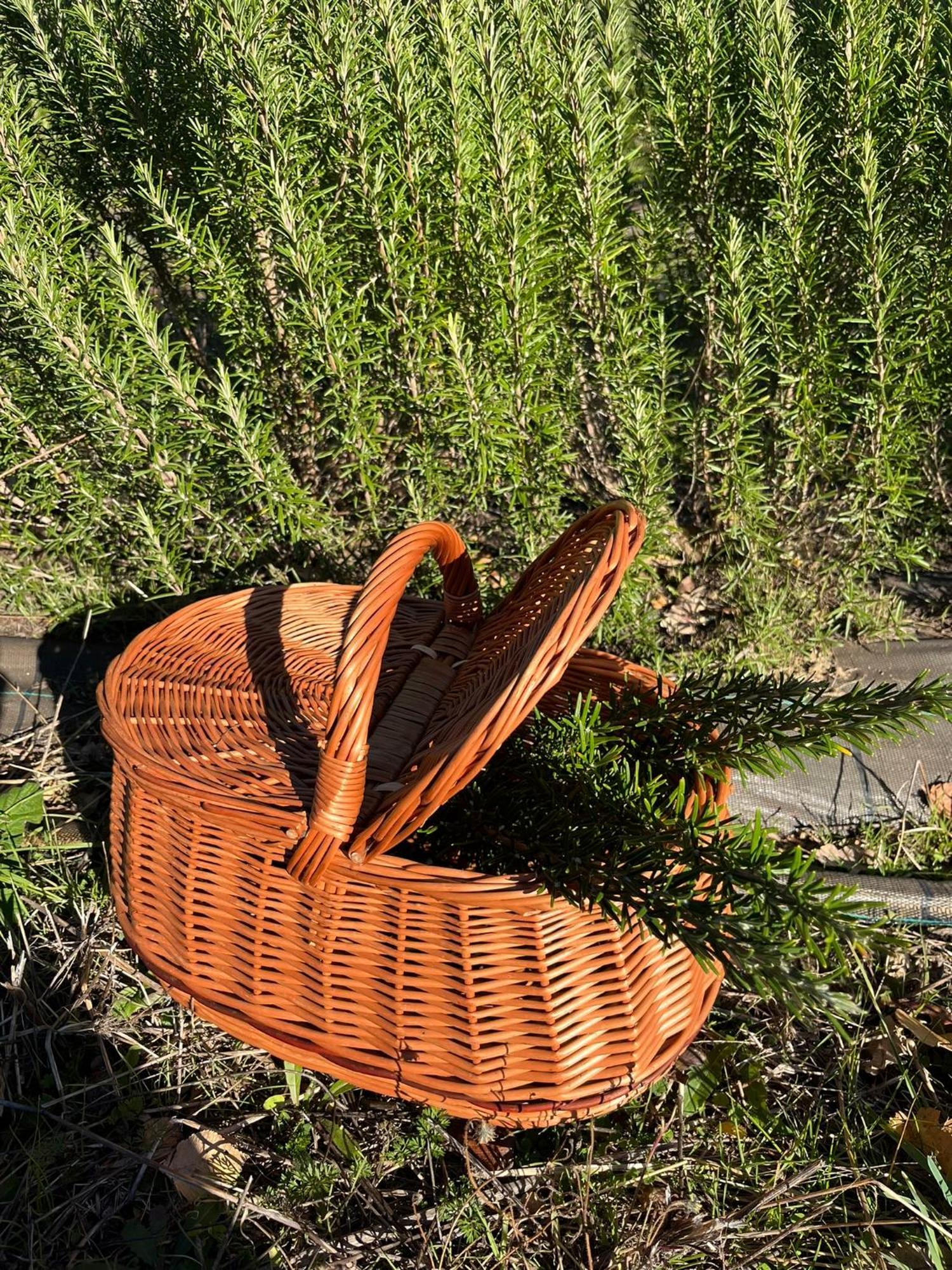 Bio Agriturismo Alba Etrusca Di Cortona - Organic Farmhouse- Appartamento Lavanda-Appartamento Rosmarino - Vasca Idromassaggio Esterna Poggioni Екстериор снимка